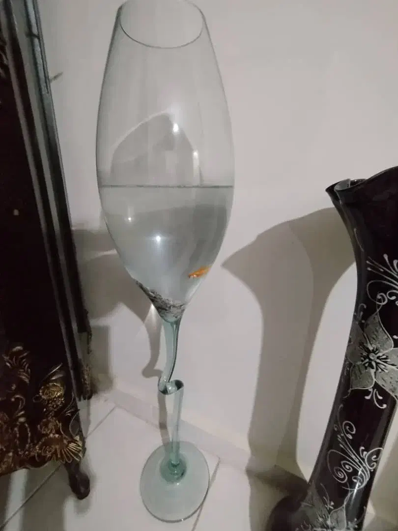 دوعدد گلدون و تنگ ماهی واستند با گلدون|ماهی|پرند, فاز ۶|دیوار