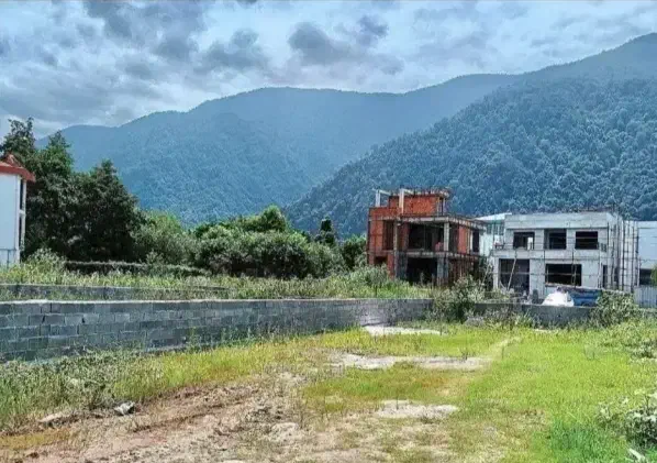 فروش زمین افساطی بدون بهره ویو جنگل منطقه امن|فروش زمین و ملک کلنگی|چمستان, |دیوار