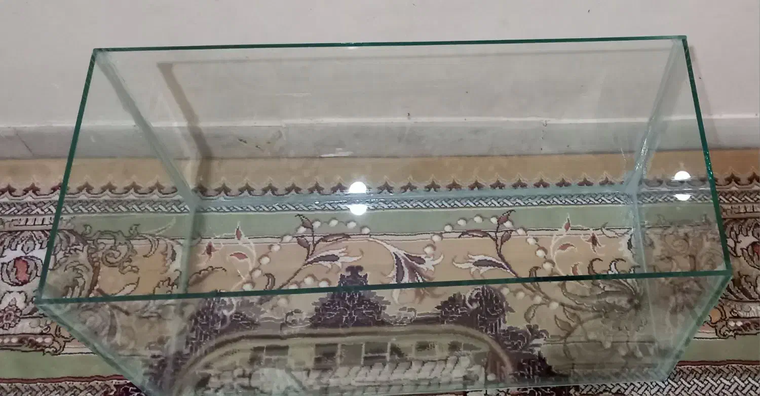 آکواریوم|ماهی|زاهدان, |دیوار