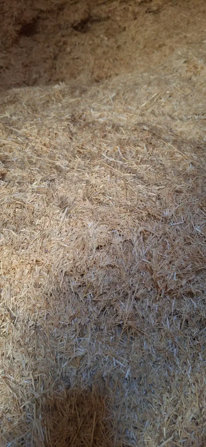 گندم کاه|لوازم جانبی حیوانات|رشت, منظریه|دیوار