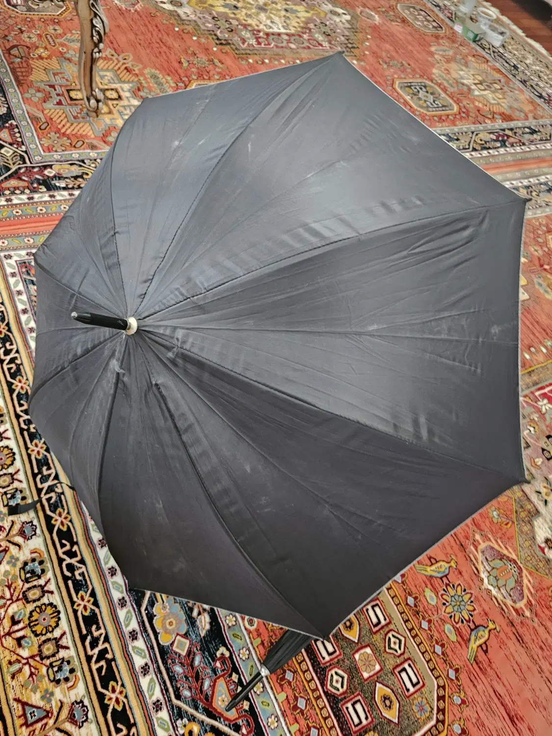 چتر|کوهنوردی و کمپینگ|اردبیل, |دیوار