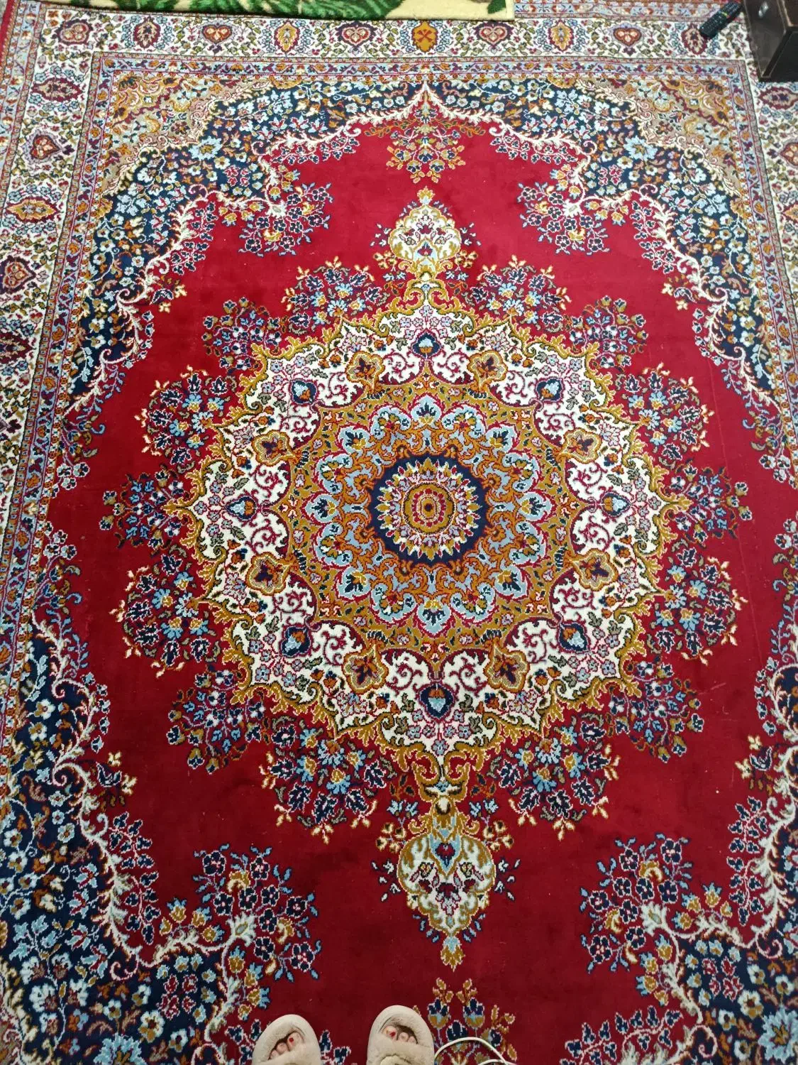 فرش 9 متری قدیمی|فرش|ضیابر, |دیوار