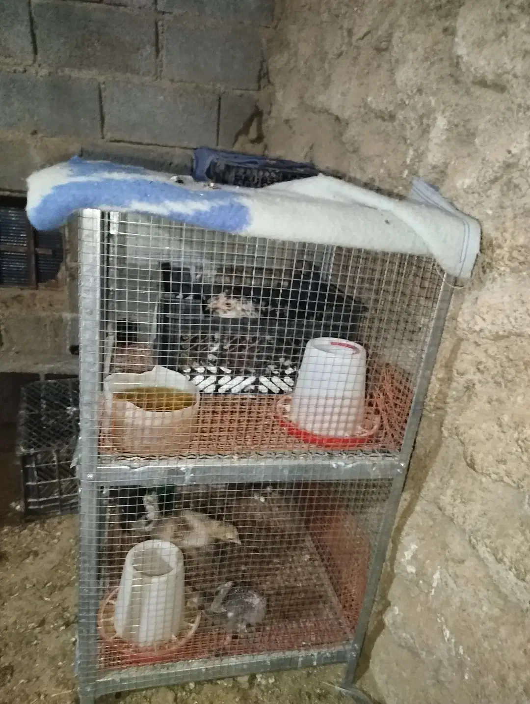 قفس دوطبقه نونو|لوازم جانبی حیوانات|کوه چنار, |دیوار