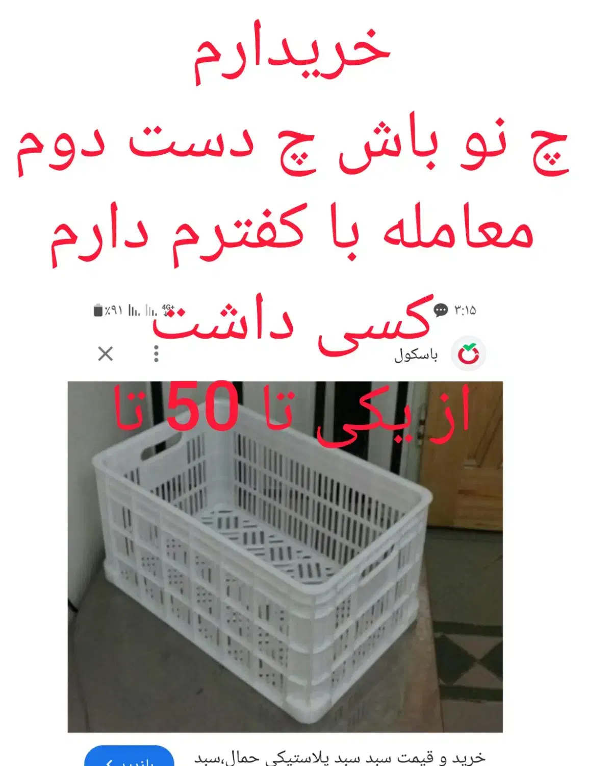 کفتر|پرنده|داراب, |دیوار