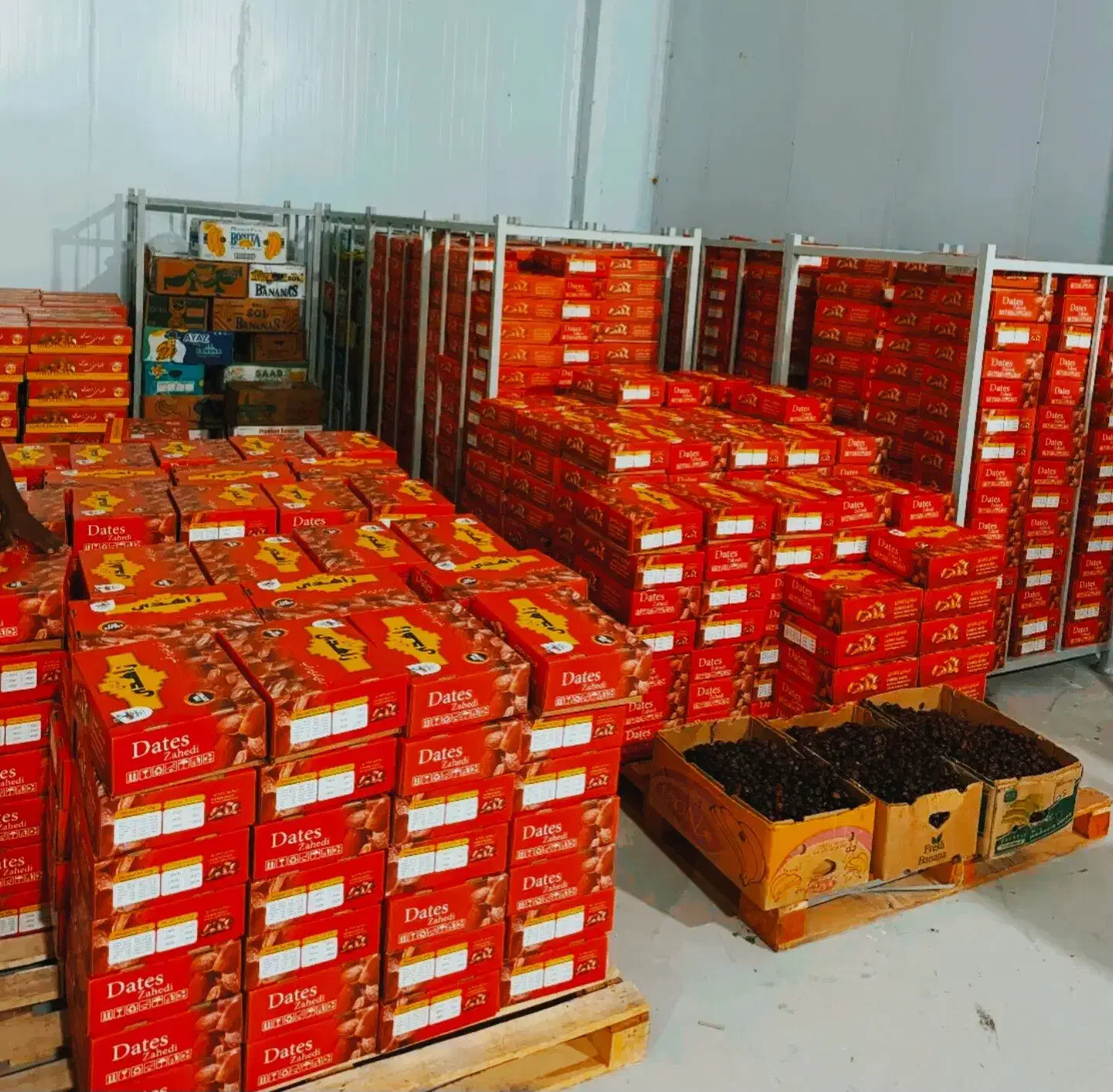 خرما مُرداسَنگ پیچیده، خاصوئی ،خنیزی و کلوته|خوردنی و آشامیدنی|بندرعباس, |دیوار