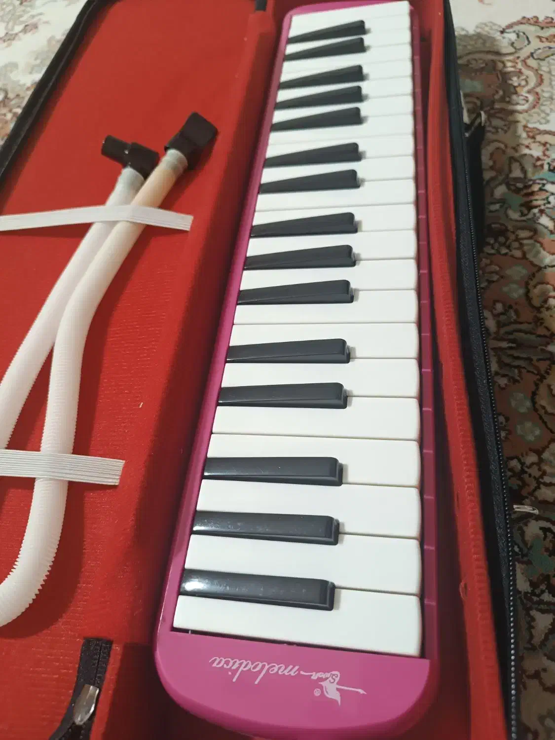 ملودیکا مدل سوان|سازهای بادی|سنندج, |دیوار