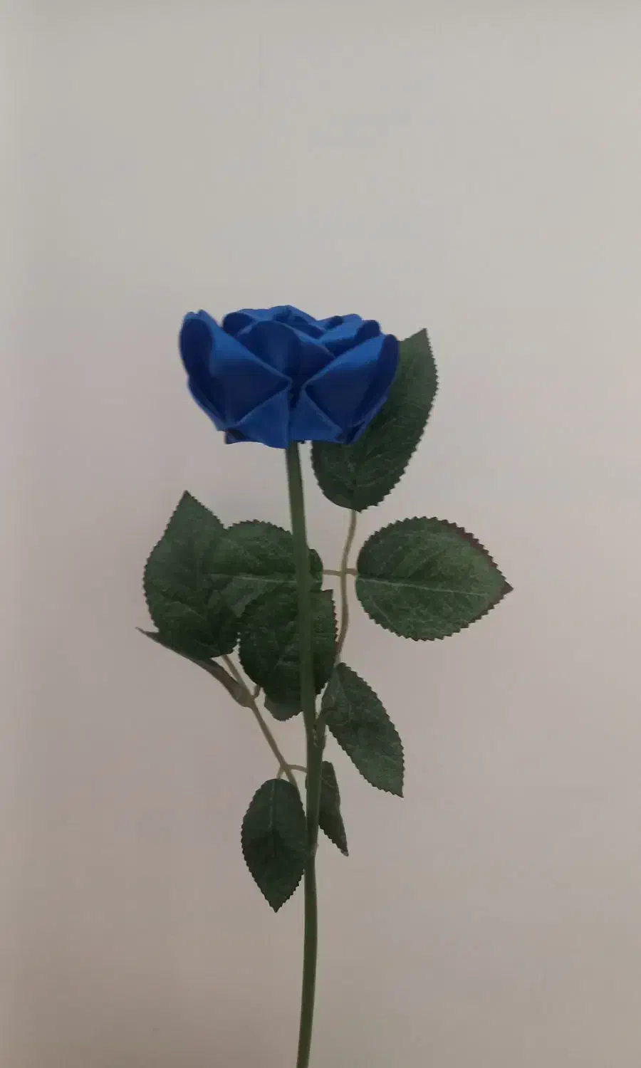 شاخه گل رز آبی|گل مصنوعی|فیروزآباد (فارس), |دیوار