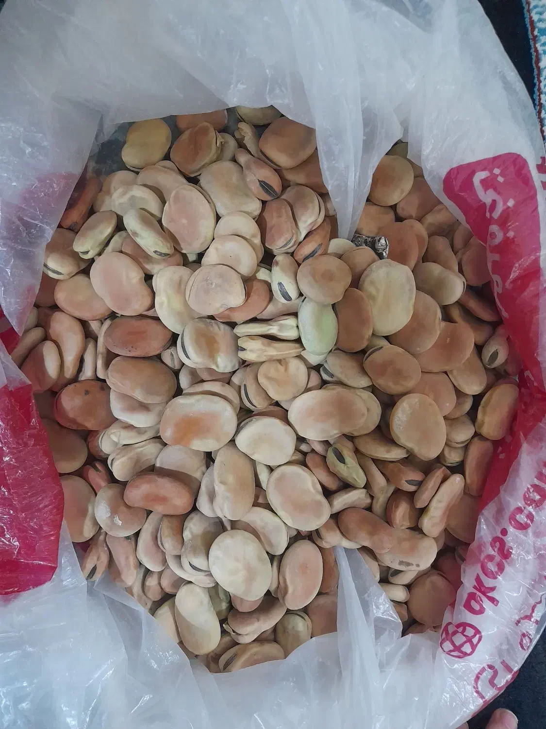 باقله|خوردنی و آشامیدنی|کامیاران, |دیوار