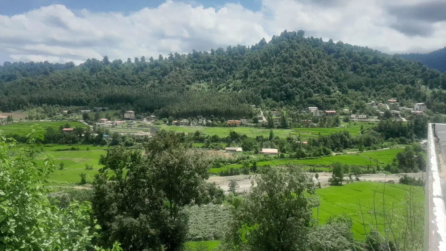 زمین ۲۰۰ متر با مستثنیات|فروش زمین و ملک کلنگی|تالش, جوکندان|دیوار