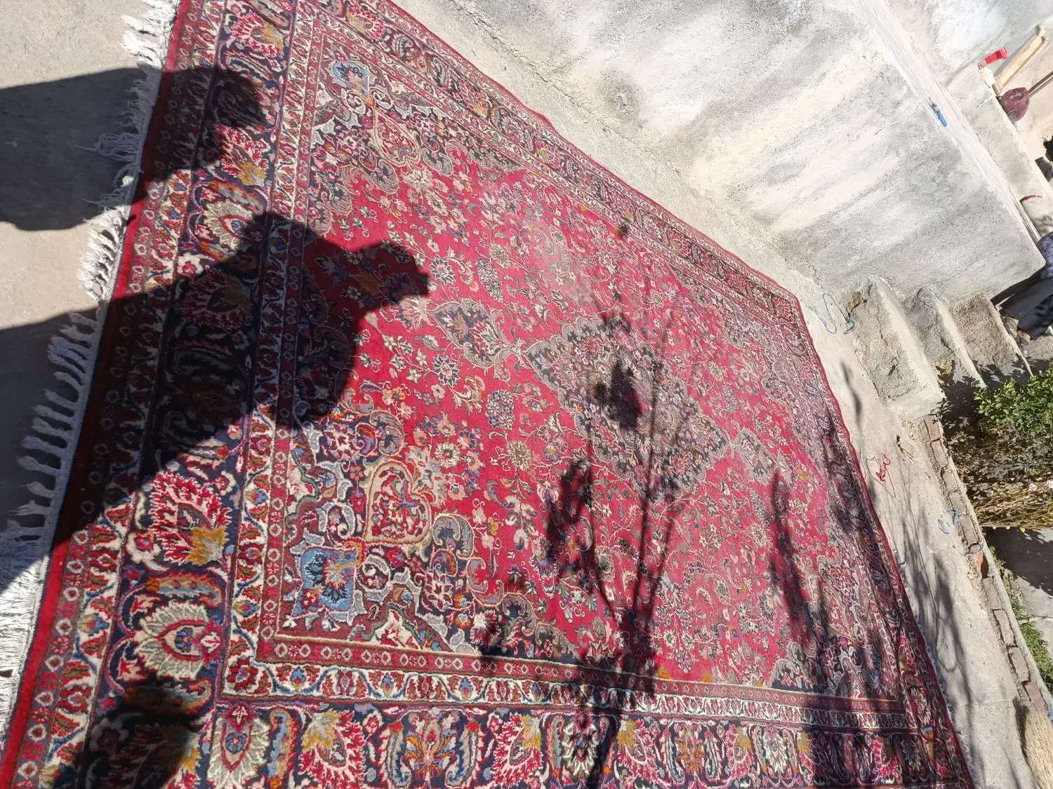 فرش دستباف|فرش|بیرجند, |دیوار