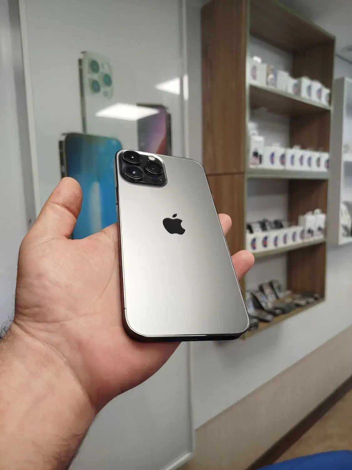 13promax256 gig Zaa|موبایل|رشت, لاکانی|دیوار