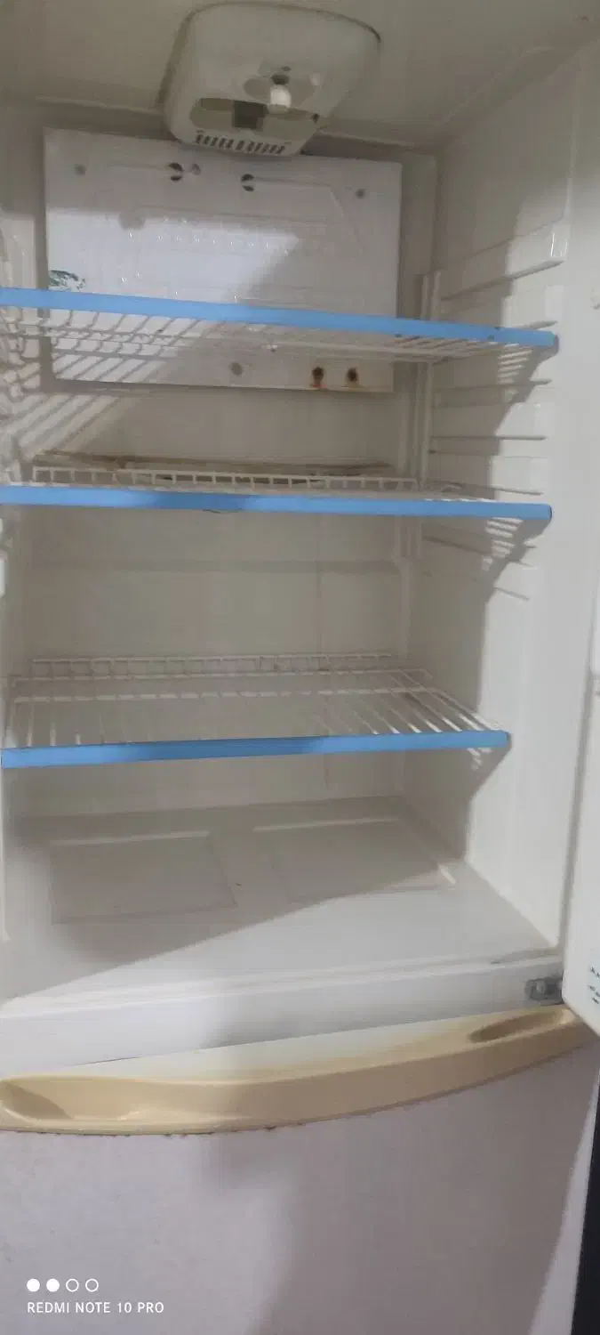 یخچال|یخچال و فریزر|گنبد کاووس, |دیوار