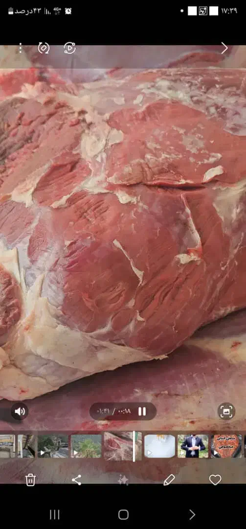 کارگر مرغ وماهی|استخدام خدمات فروشگاه و رستوران|تهران, عبدلآباد|دیوار