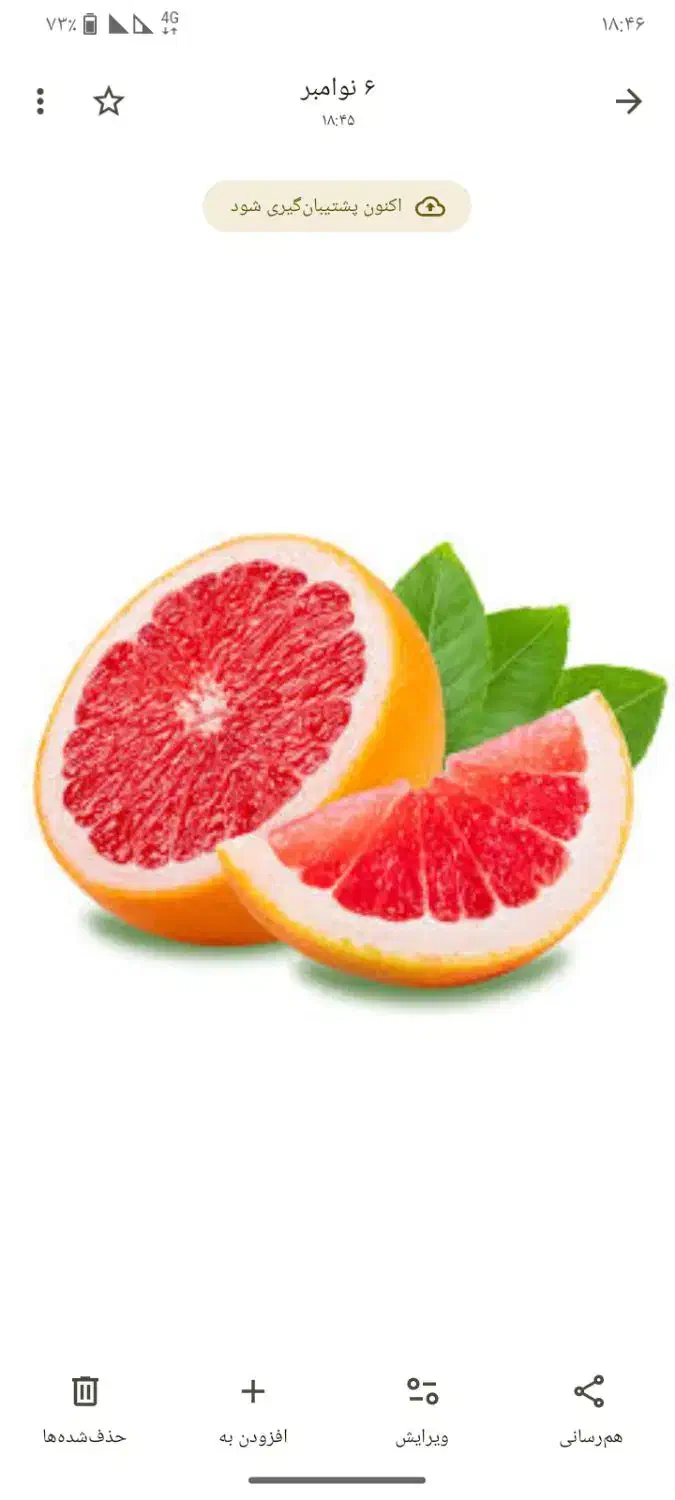 خریدار.پرتقال وگیریپ فروت|خدمات باغبانی و درختکاری|منوجان, |دیوار