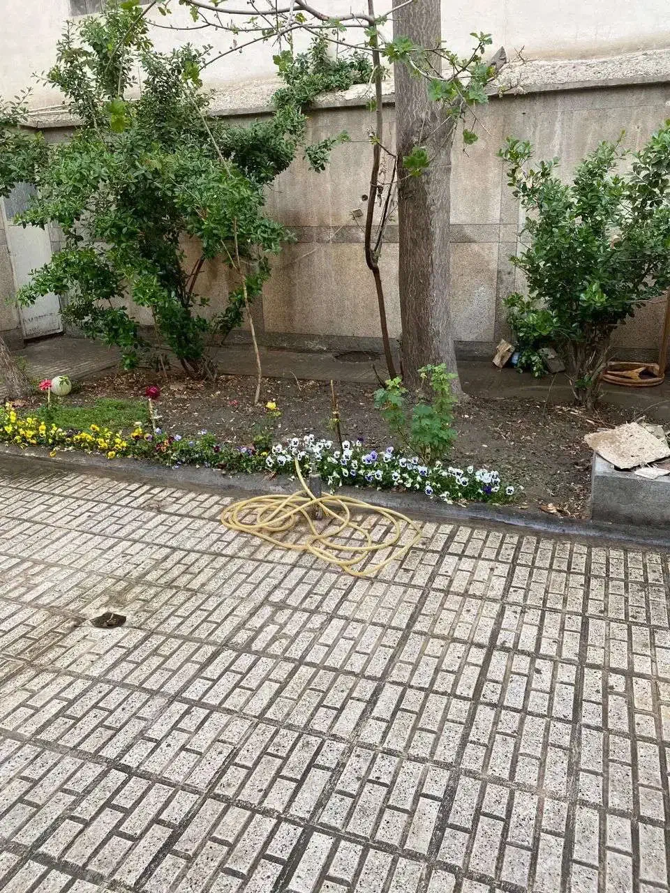 250 متری کلنگی حاشیه ۱۰ / ثامن/ مناسب ساخت / جاهد/|فروش زمین و ملک کلنگی|مشهد, امام خمینی|دیوار