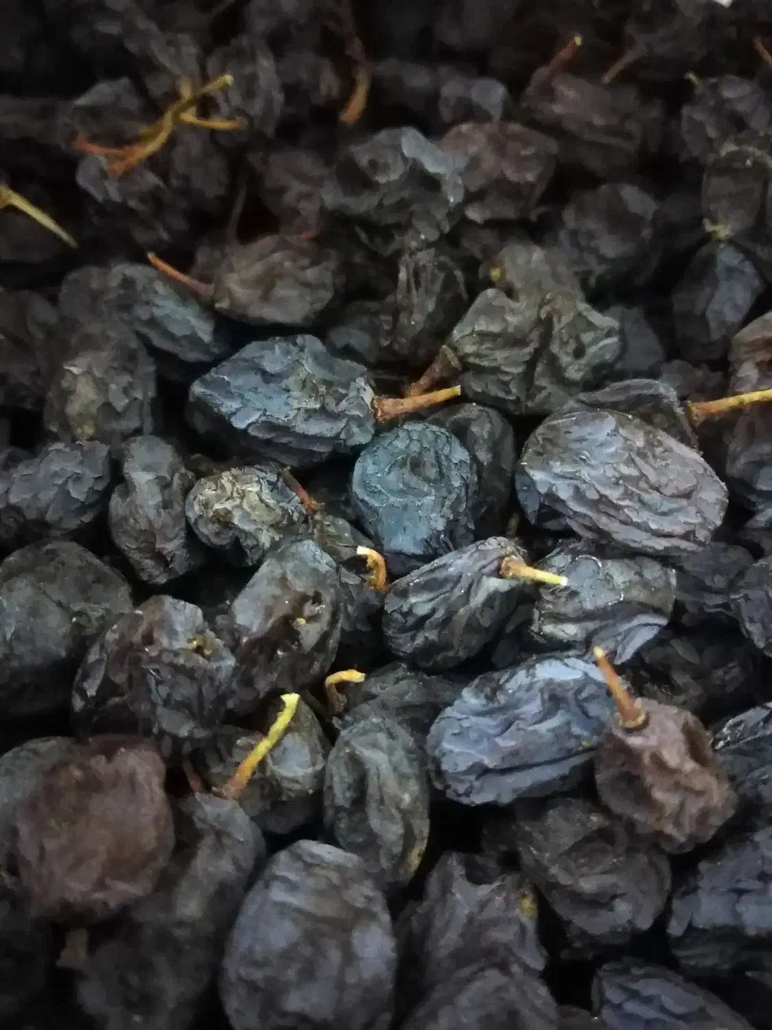 مویز بش درجه1 دشمن زیاری را مستقیم از باغ دار بخر|خوردنی و آشامیدنی|شیراز, معالی‌آباد|دیوار