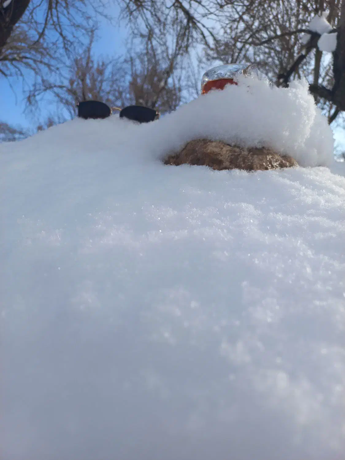 بلیط قطار|بلیت اتوبوس، مترو، قطار|یزد, |دیوار