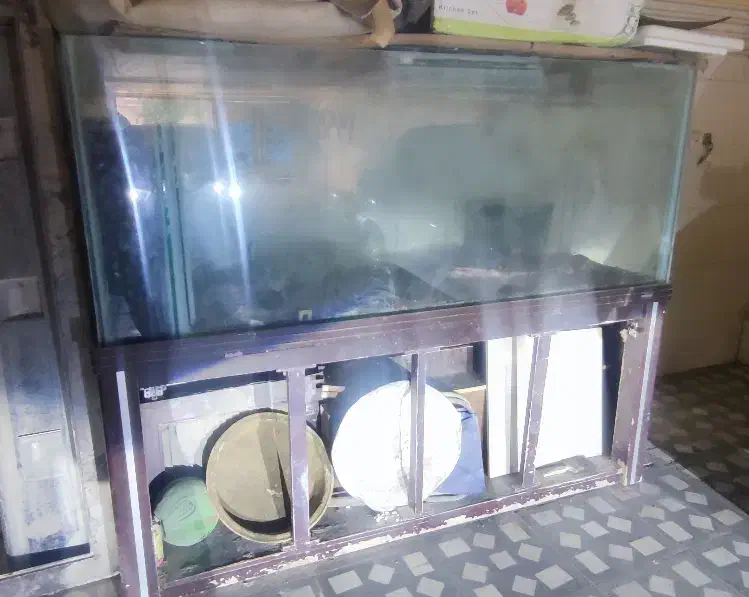 آکواریوم ۲۰۰×۶۰×۱۵۰|ماهی|خرمشهر, |دیوار