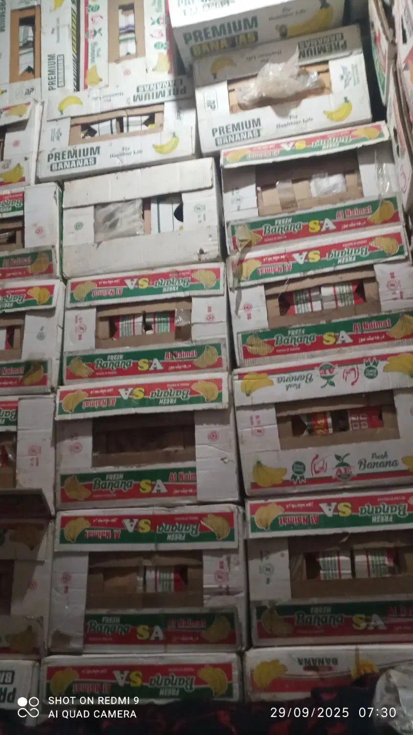 فروش کارتون  موزی|خوردنی و آشامیدنی|جیرفت, |دیوار