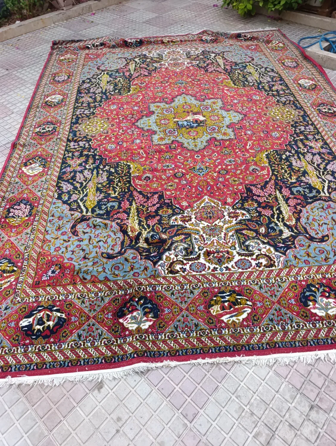 فرش|فرش|شیراز, آزادگان|دیوار