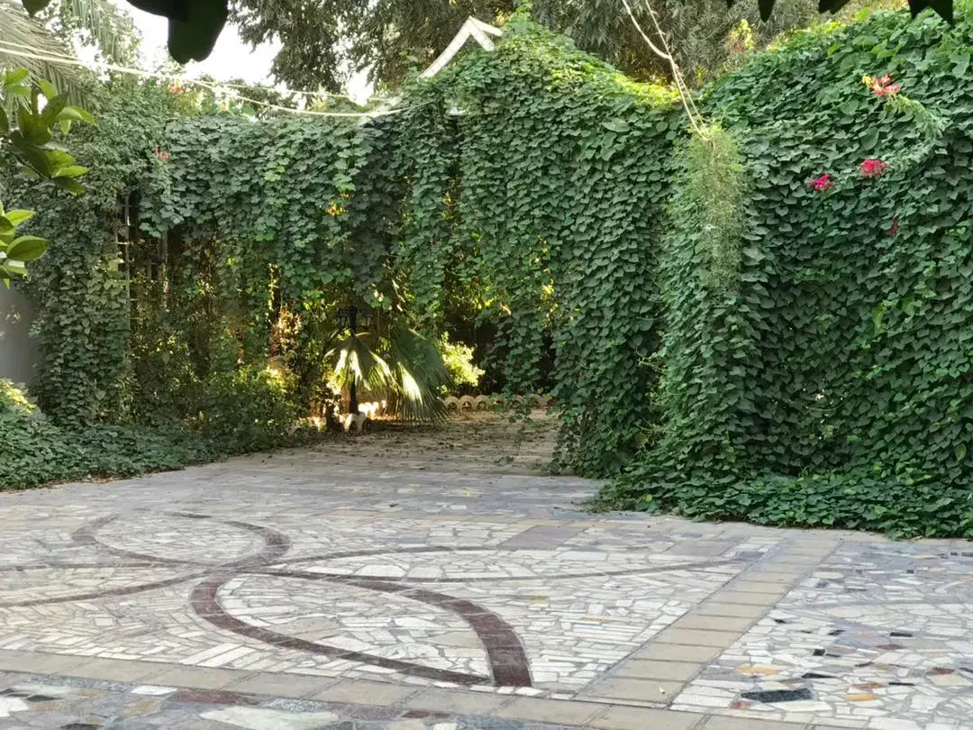 ویلا باغ سرد و گرم قیمت مناسب|اجارهٔ کوتاهمدت ویلا و باغ|دزفول, |دیوار