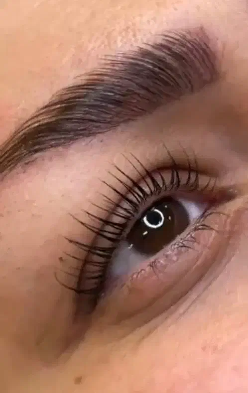 آموزش اکستنشن و لیفت و لمینیت مژه و ابرو پاییزه|خدمات آموزشی|مشهد, سجاد شهر|دیوار