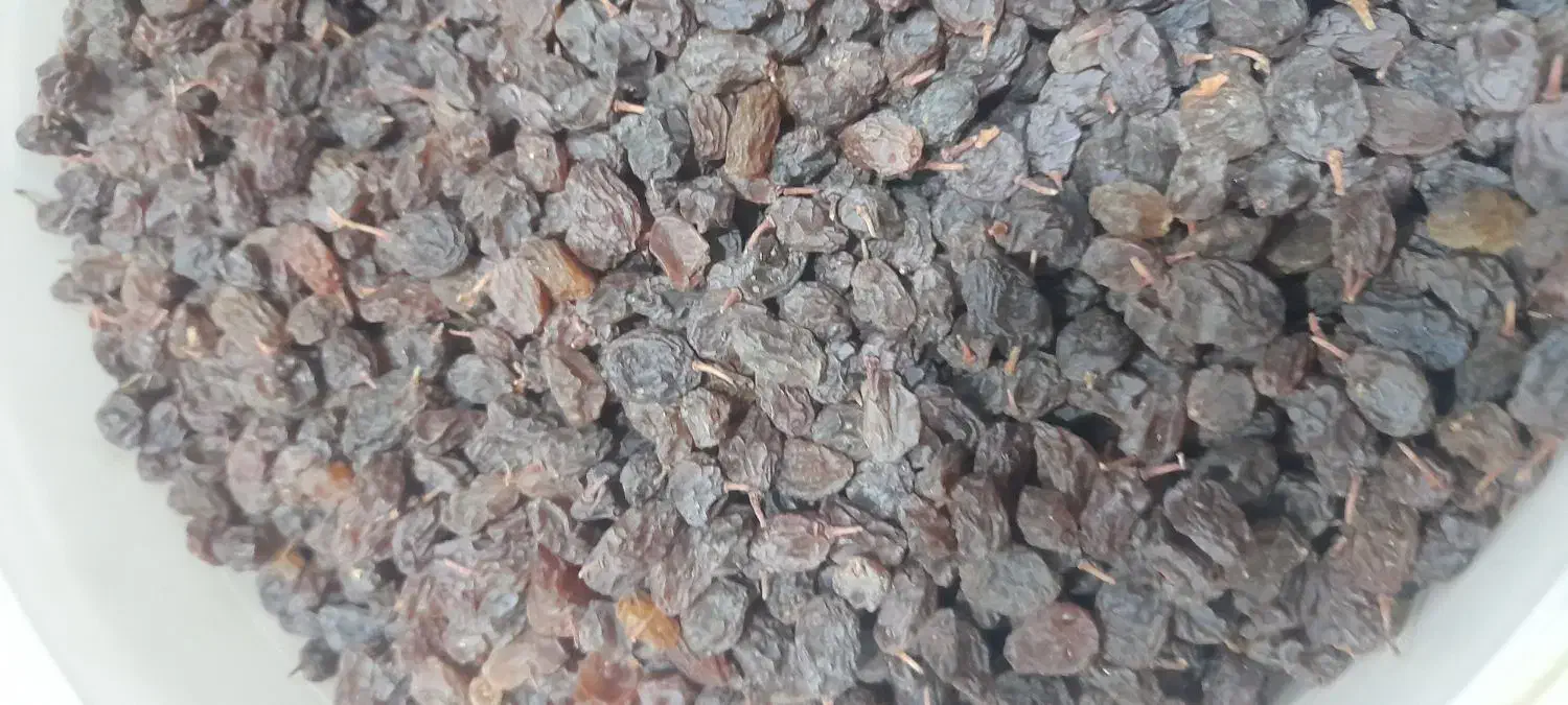 کشمش پلویی|خوردنی و آشامیدنی|ملایر, |دیوار