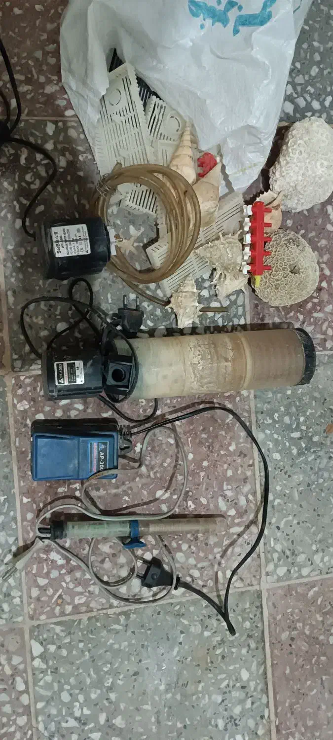 تجهیزات اکواریوم اصلی|ماهی|شیراز, شهرک مهرگان|دیوار