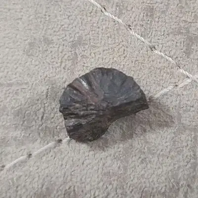 شهاب سنگ|کلکسیون اشیاء عتیقه|ایلام, |دیوار