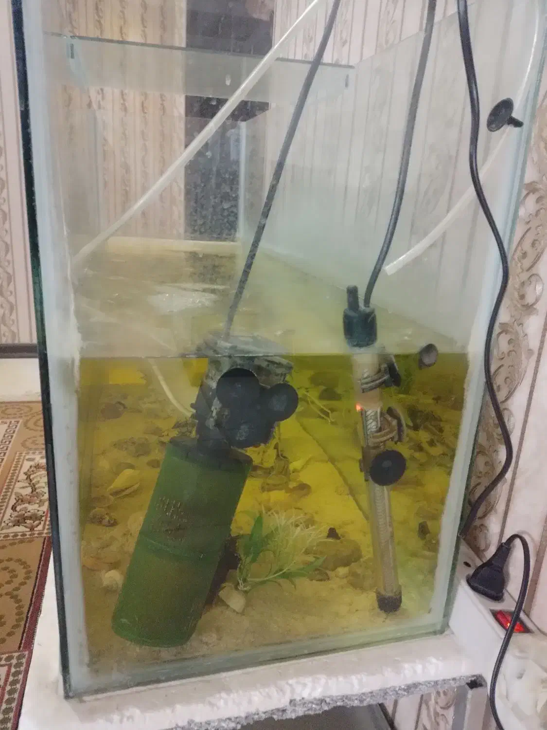 آکواریوم+ماهی و لوازم|ماهی|قوچان, |دیوار