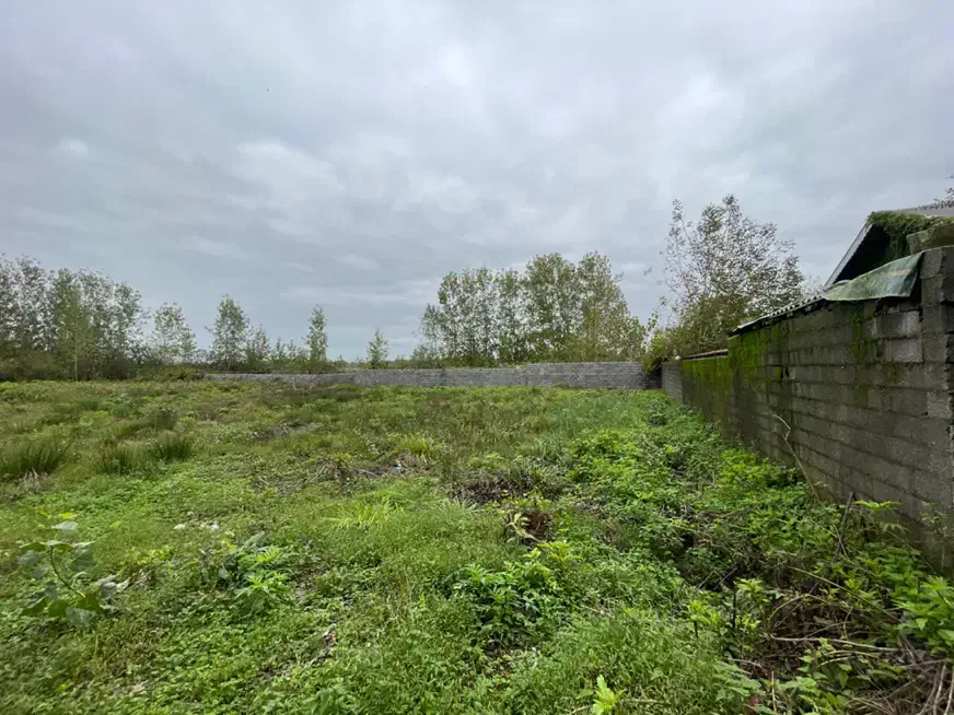 ویلایی کلنگی روستای المان|فروش زمین و ملک کلنگی|رشت, بلوار گیلان|دیوار