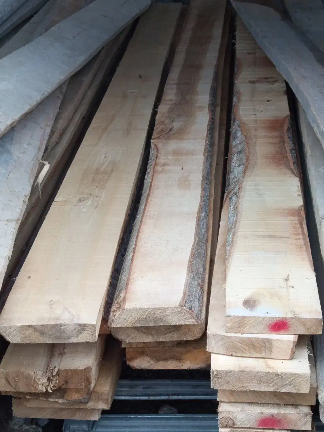 تخته بنایی|مصالح و تجهیزات ساختمان|نوشهر, |دیوار