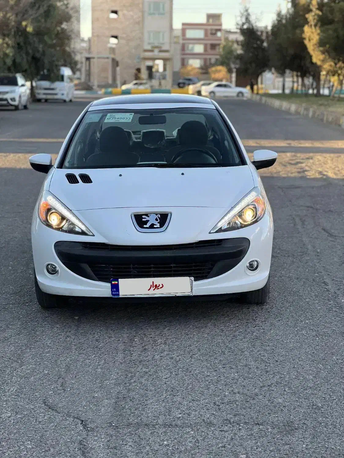 ۲۰۷پانا|خودرو سواری و وانت|سیرجان, |دیوار