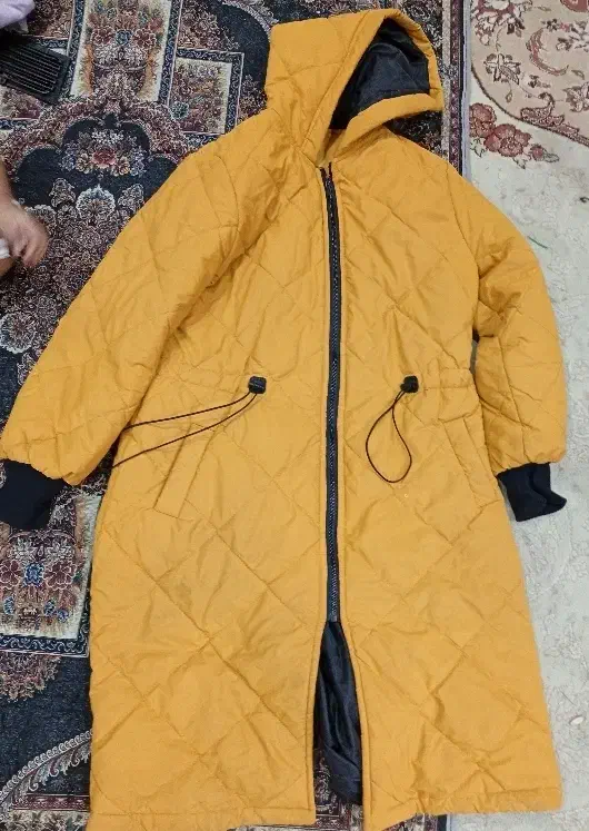 کاپشن  خردلی|لباس|نوشهر, |دیوار