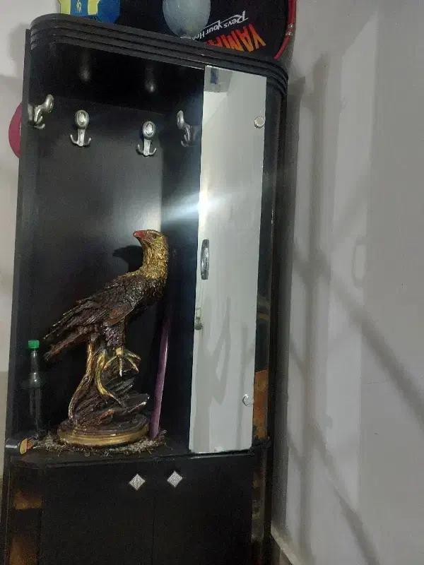 جا کفشی|جاکفشی، کمد، دراور|بیرجند, |دیوار