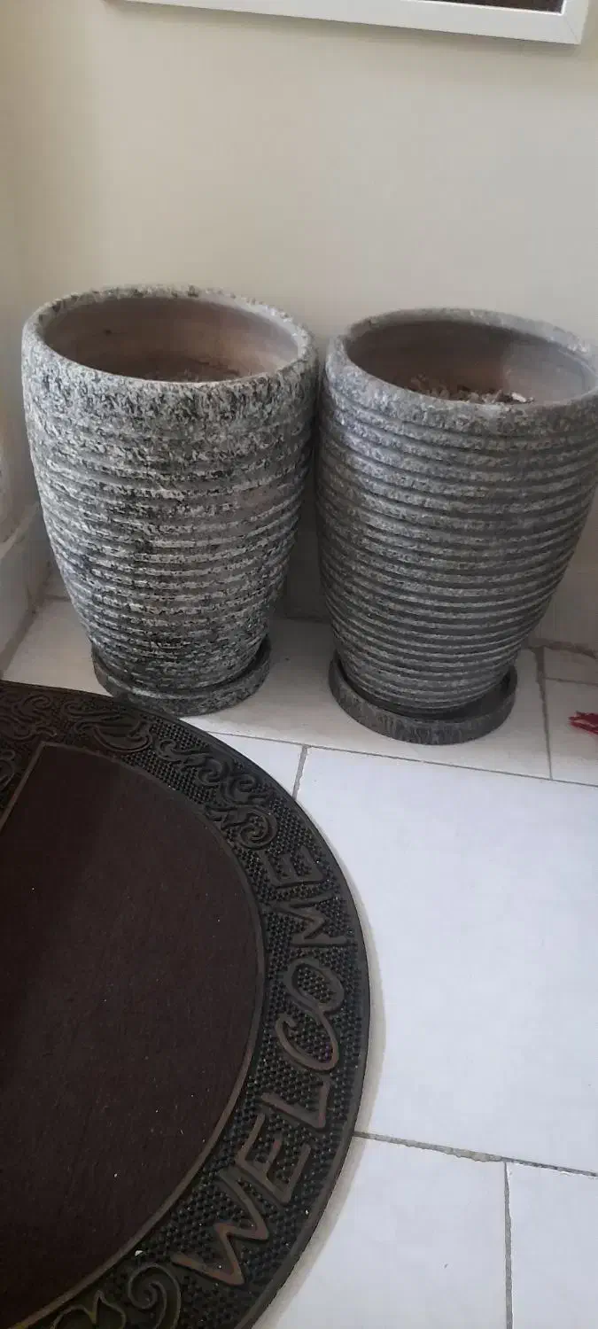 گلدان|گل و گیاه طبیعی|تهران, خاوران|دیوار