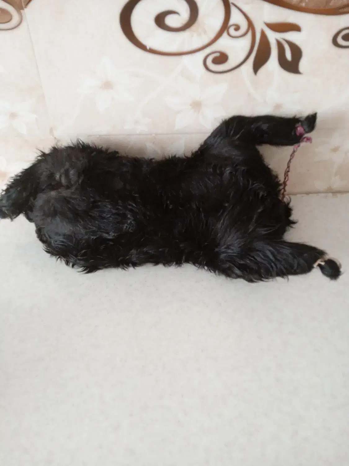 هیزه کوچیک|صنایع دستی و سایر لوازم تزئینی|خرم‌آباد, |دیوار