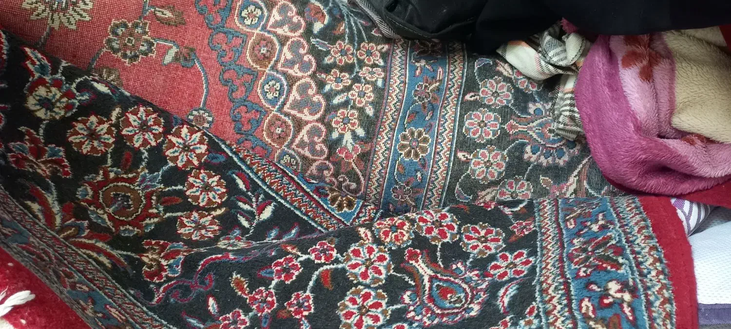 فروش فرش قدیمی|فرش|فلاورجان, |دیوار