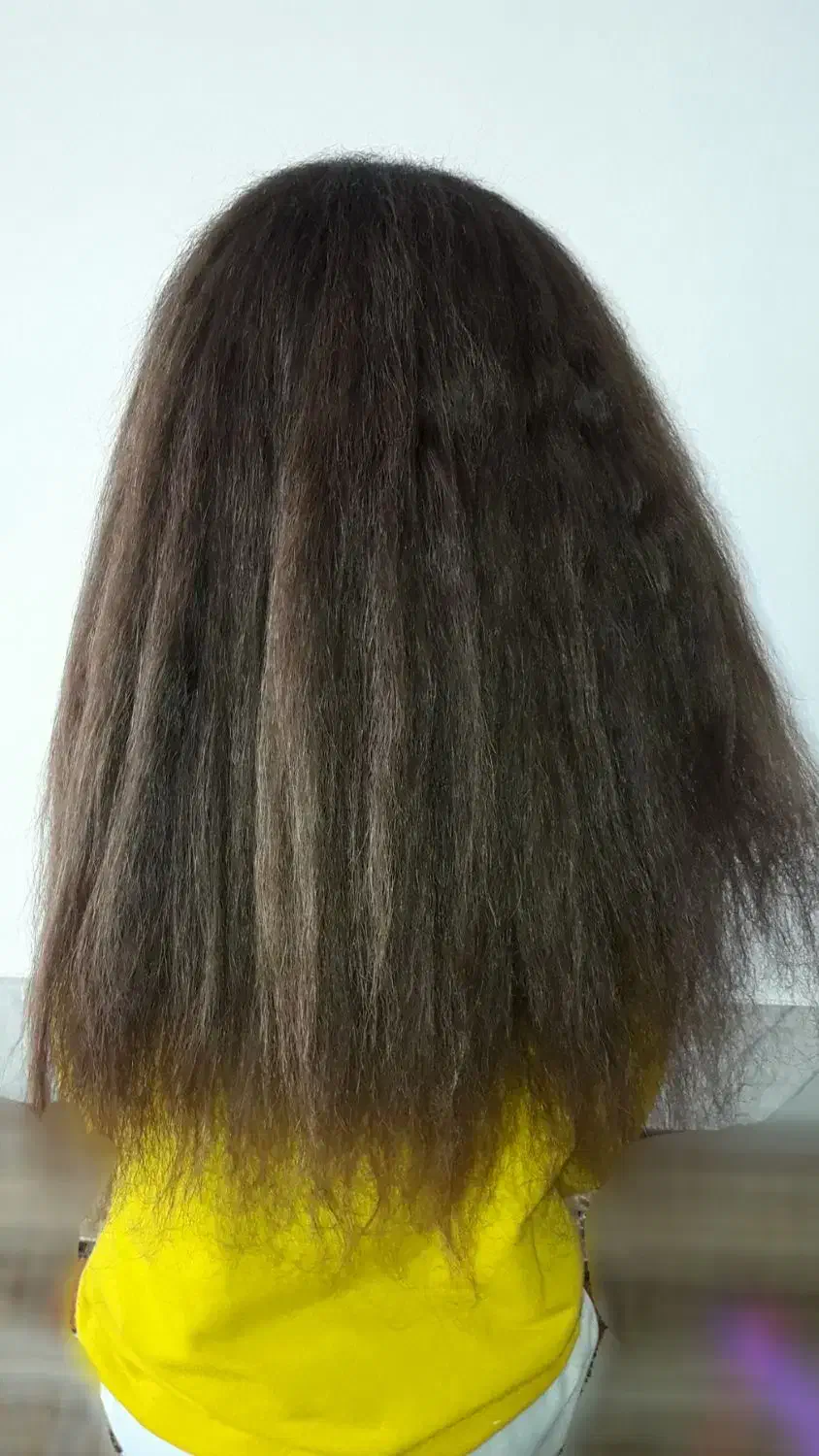 موطلایی پر پشت|آرایشی، بهداشتی، درمانی|ایلام, |دیوار