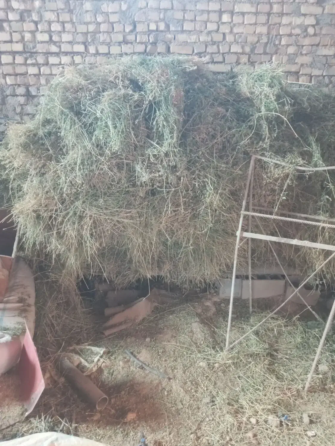 فروش یونجه|حیوانات مزرعه|قوچان, |دیوار