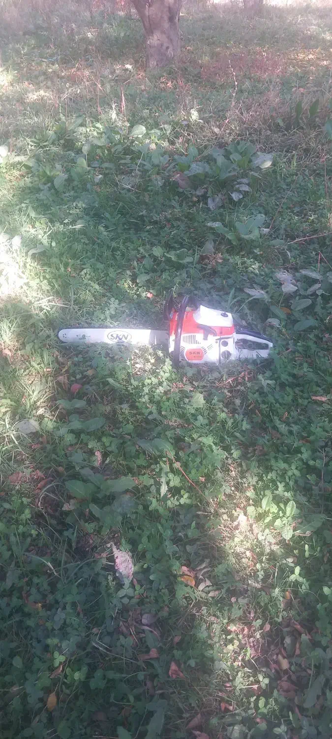 خرید وفروش انواع درخت و ریشه|خدمات باغبانی و درختکاری|میاندوآب, |دیوار