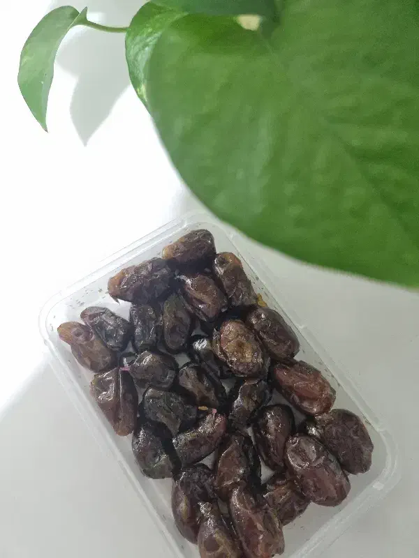 استخدام|استخدام صنعتی، فنی، مهندسی|پاکدشت, پاکدشت (مامازند)|دیوار