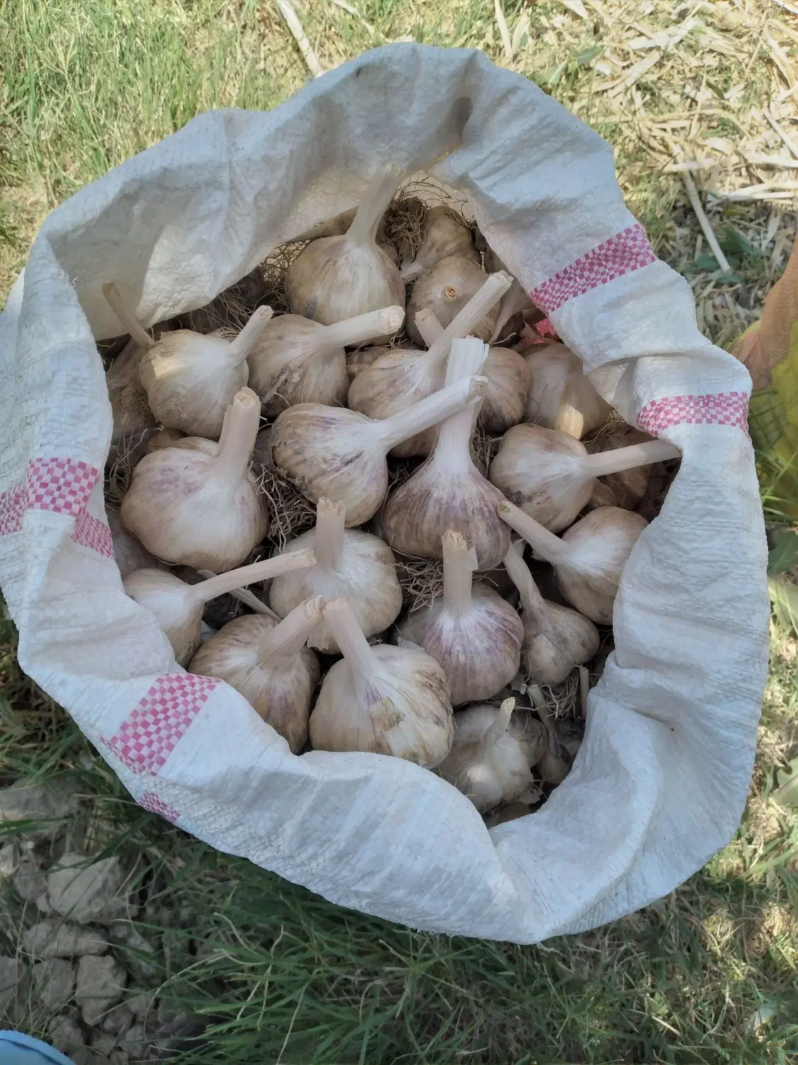 خوردنی|خوردنی و آشامیدنی|کمیجان, |دیوار