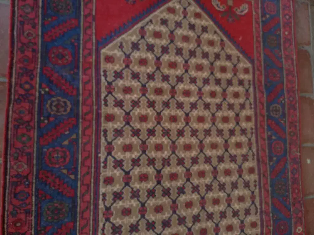 قالی کناره محلی|گلیم، جاجیم، گبه|اردبیل, |دیوار