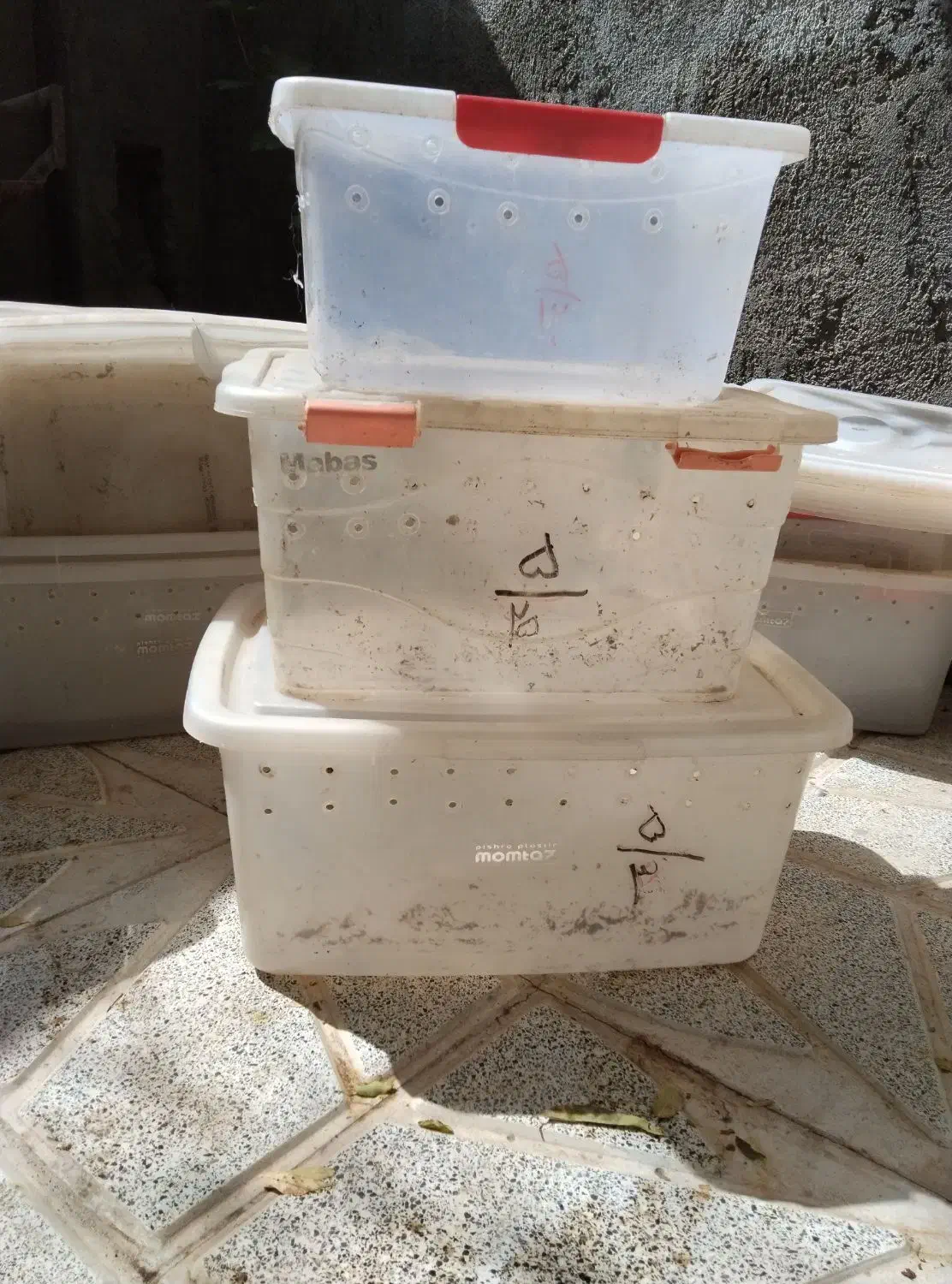 باکس شفاف|ظروف نگهدارنده، پلاستیکی، یکبارمصرف|تربتحیدریه, منظر|دیوار