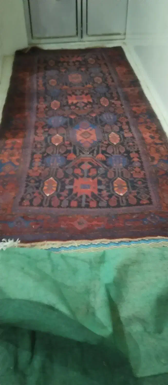 قالی دست بافت قدیمی|فرش|دهگلان, |دیوار