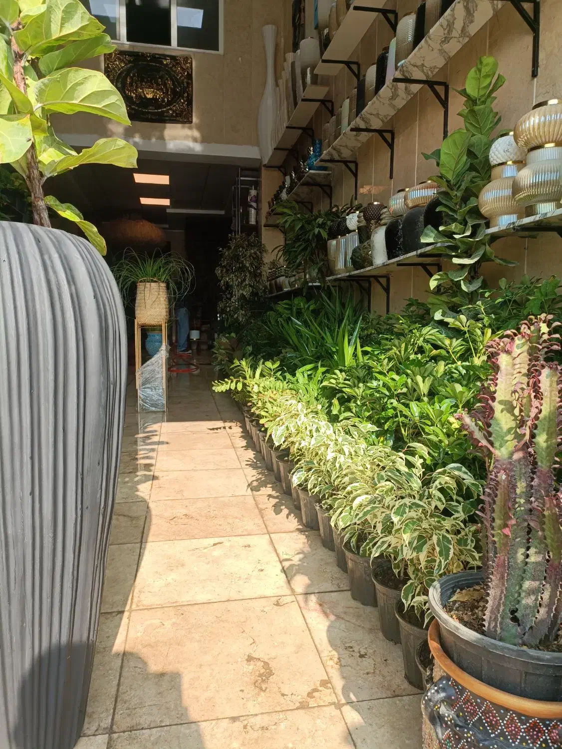 گل و گیاه ، گلدان ، تاج گل ، باکس گل درختچه|گل مصنوعی|کهریزک, |دیوار