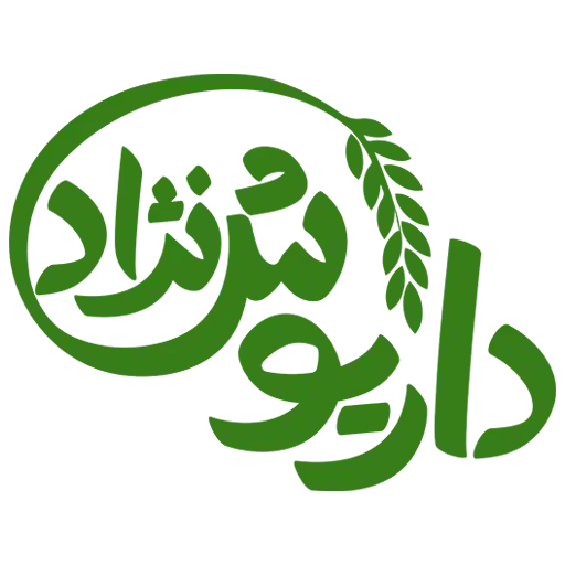 استخدام مسئول محتوا|استخدام رایانه و فناوری اطلاعات|بندر انزلی, لیچارگی حسن رود|دیوار