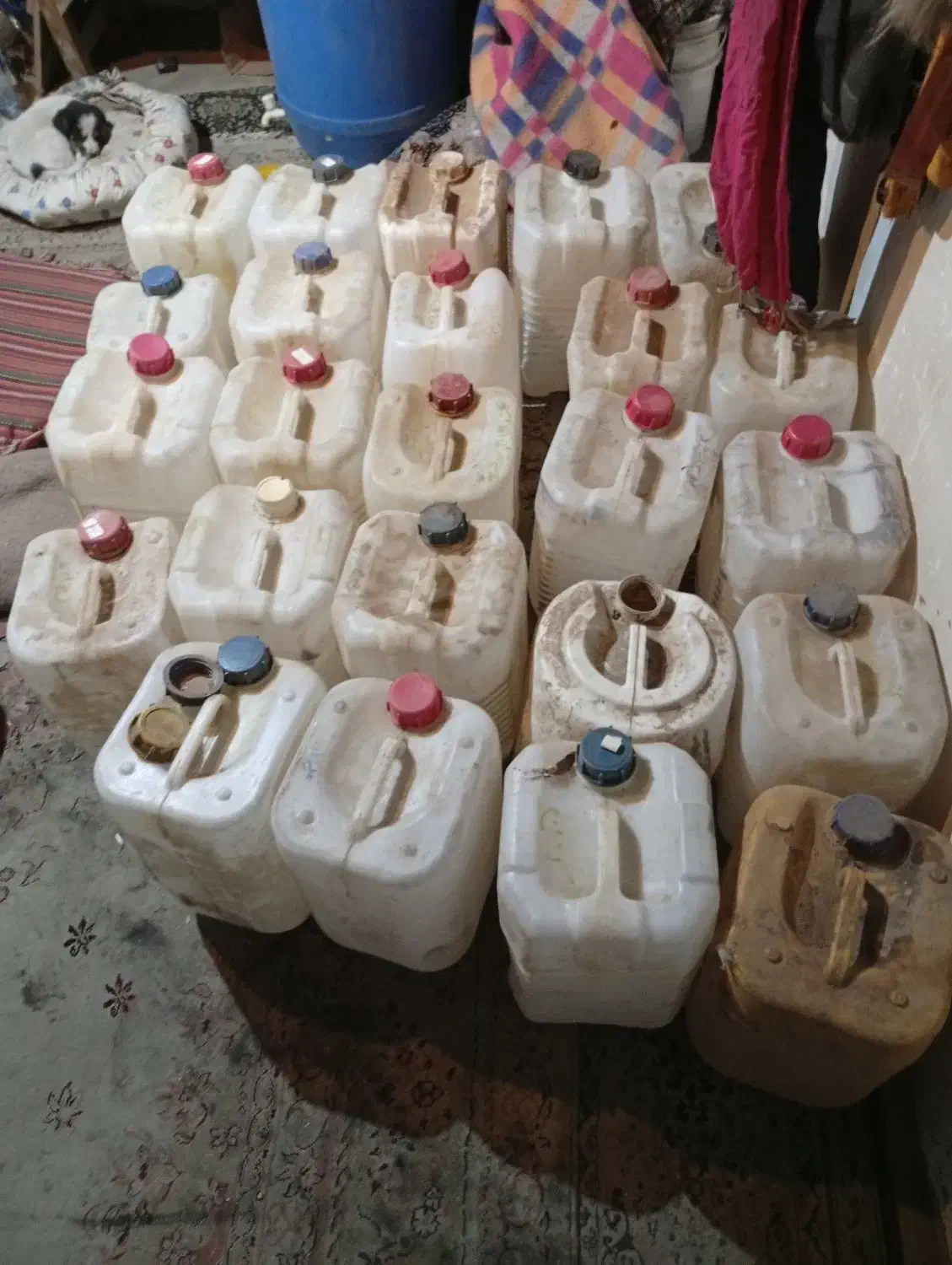 بیست لیتری سفید|ظروف نگهدارنده، پلاستیکی، یک‌بارمصرف|مشکین‌دشت, |دیوار