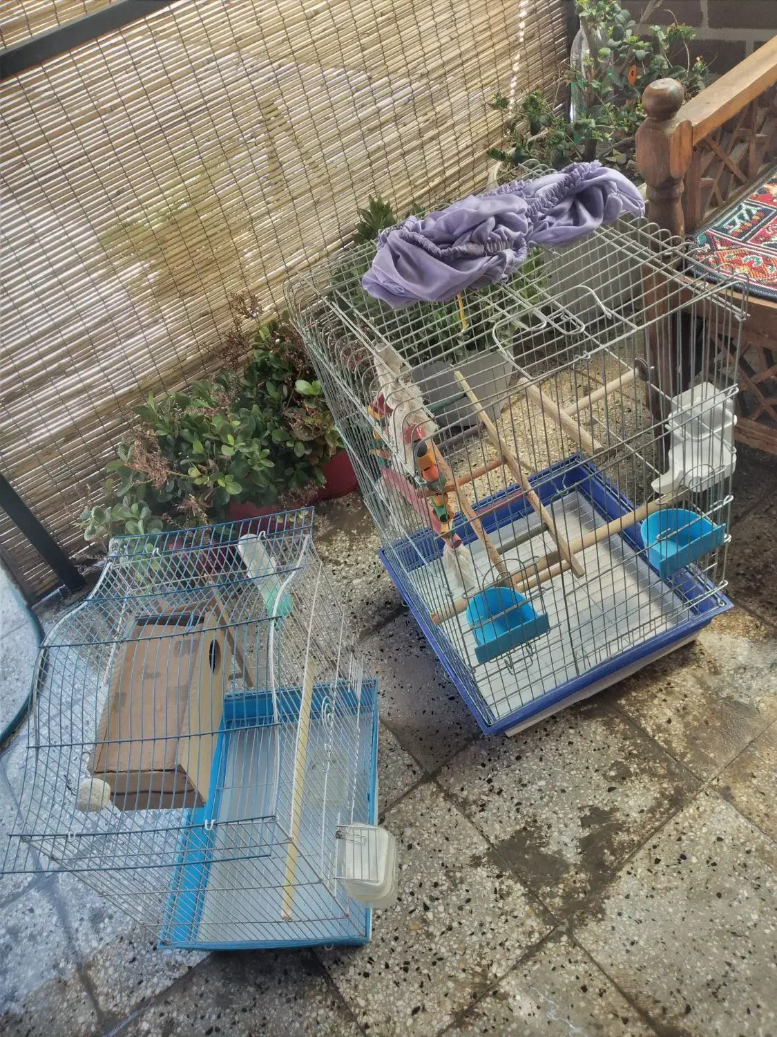 قفس|لوازم جانبی حیوانات|تهران, امیریه|دیوار